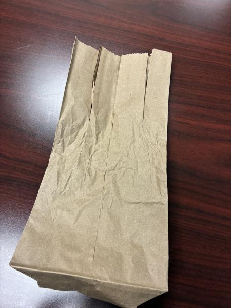 Paper Bag Tree  Example
